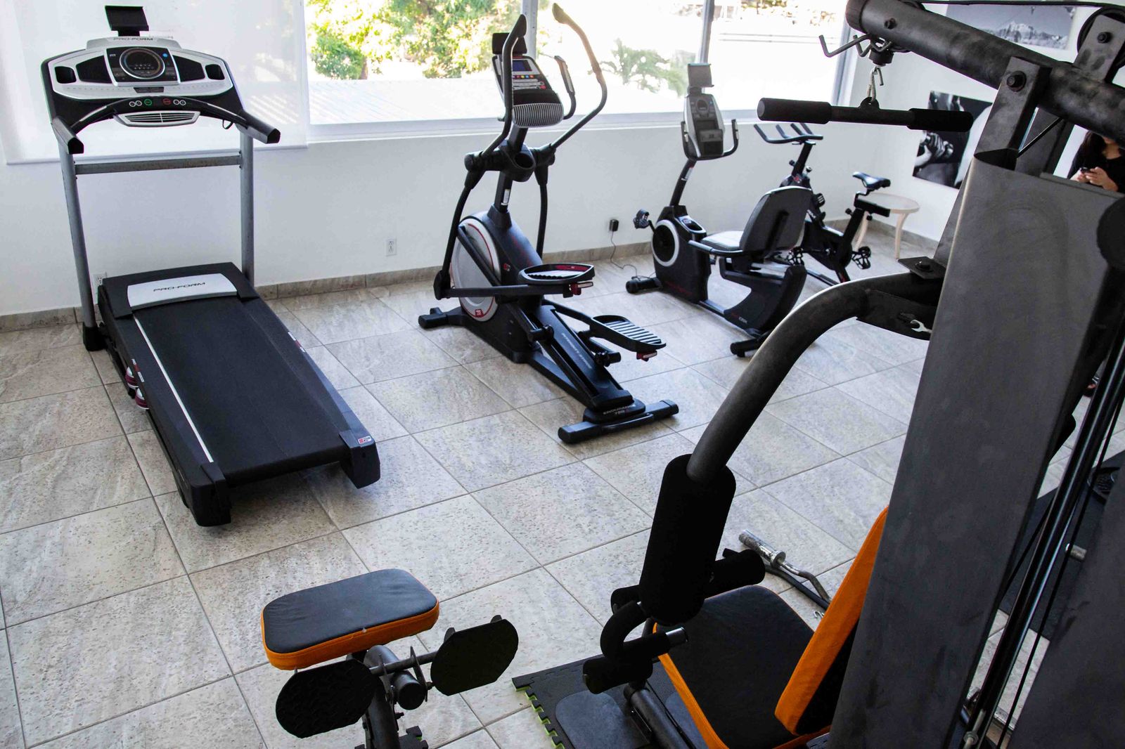 Gimnasio